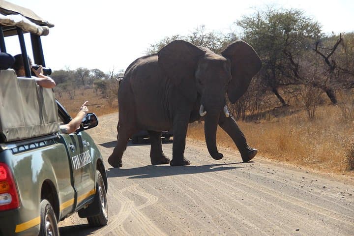 4-Day Classic Kruger National Park Safari — Big Five Game Drives, Bush Walks & Blyde River Canyon photo 4