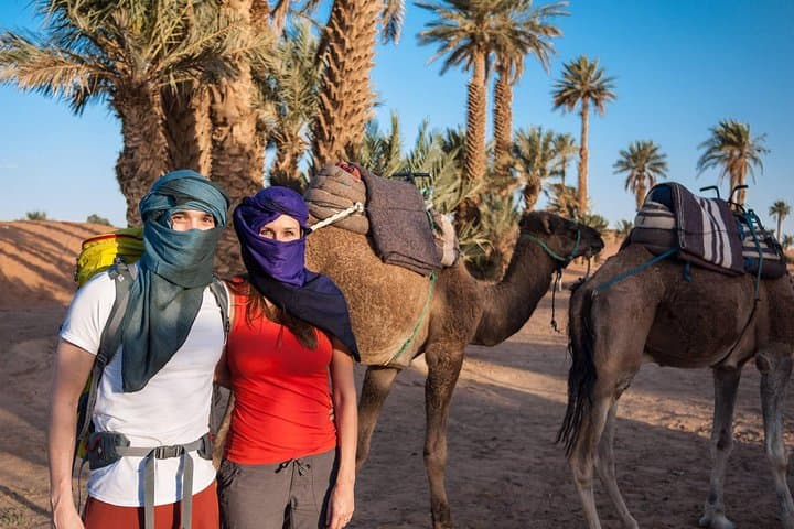 Agafay Desert Quad Biking and Camel Ride — Sunset Tours from Marrakech photo 2