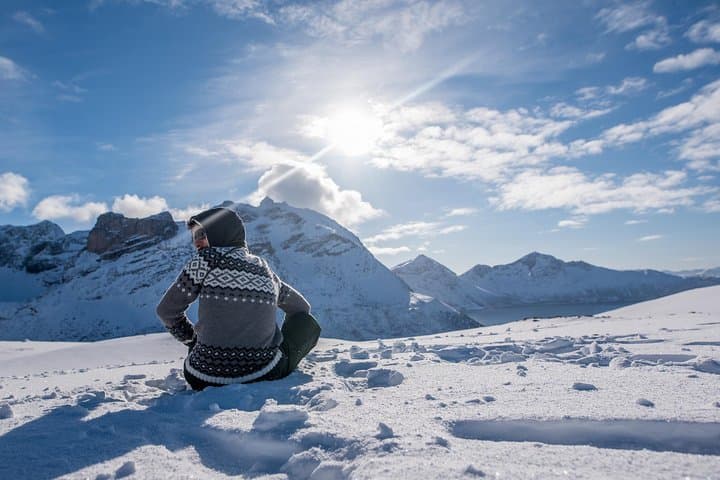 Arctic Nature Photography Tour from Tromsø — Fjords, Reindeer & Winter Whales photo 2