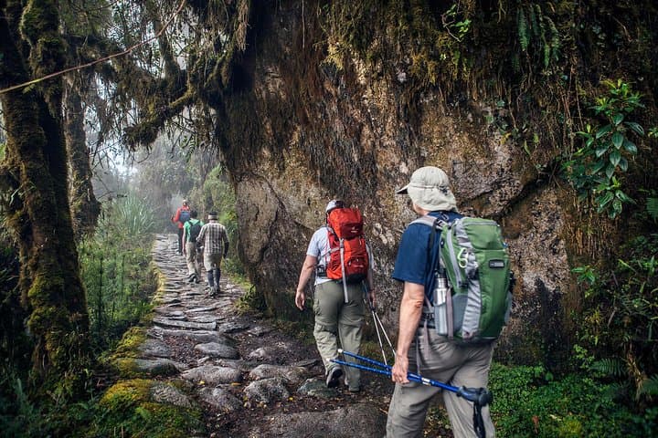 Short Inca Trail: 2-Day Trek to Machu Picchu with Guided Visit