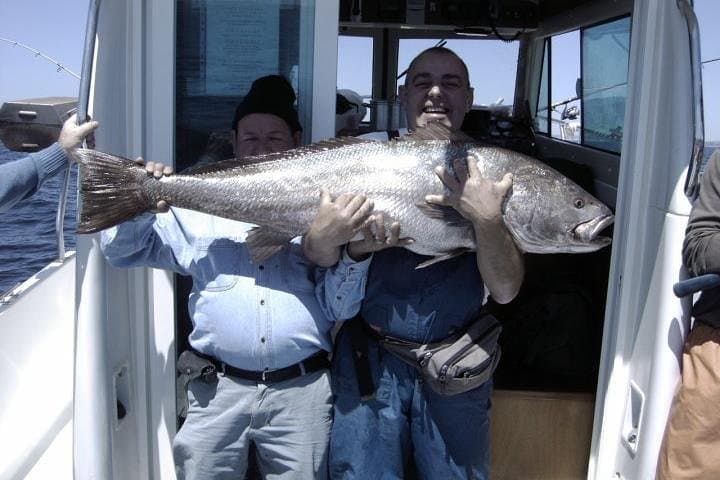 Private Cascais Fishing Tour with Lunch — 4-Hour Atlantic Charter photo 2