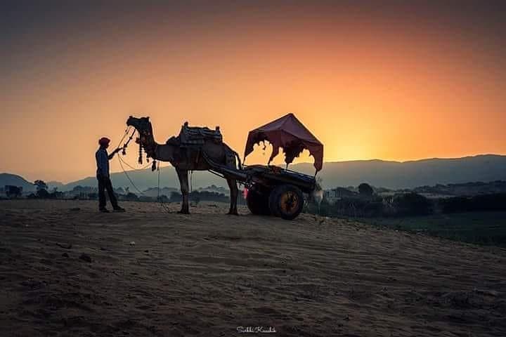 Rajasthan Heritage Tour: 16-Day Palaces, Forts & Taj Experience photo 2