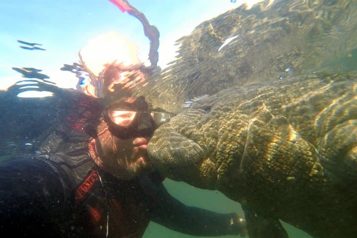 Private Manatee Swim Adventure in Crystal River: Up-Close with Florida’s Gentle Giants photo 2