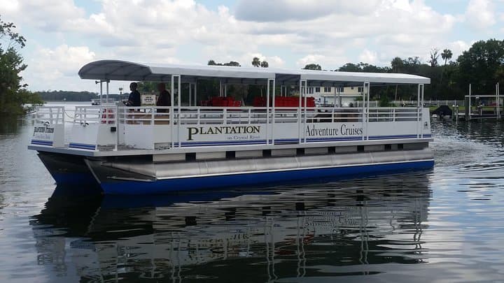 Kings Bay Scenic Cruise: Crystal River Manatee-Watching Boat Tour photo 3
