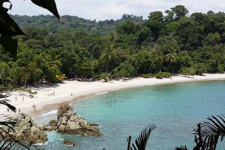 Manuel Antonio Day Tour from San Jose — Beaches, Monkeys & Rainforest Trails