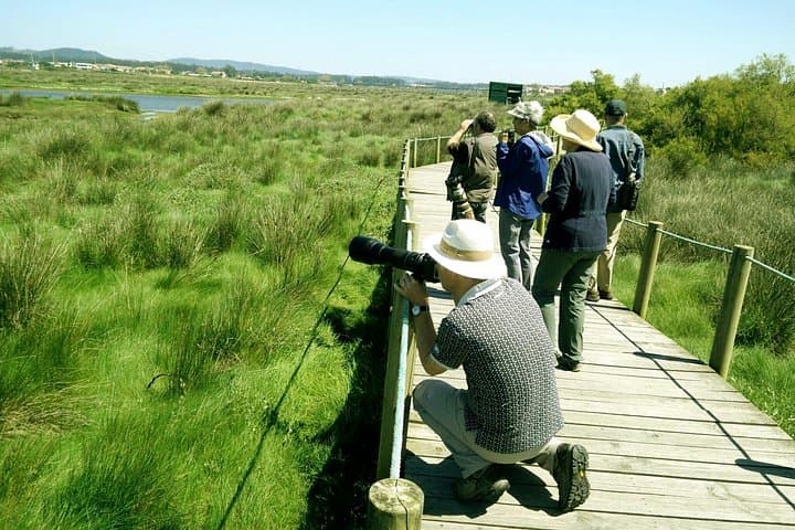 Private Birdwatching from Porto — Litoral Norte 4x4 Wildlife Tour