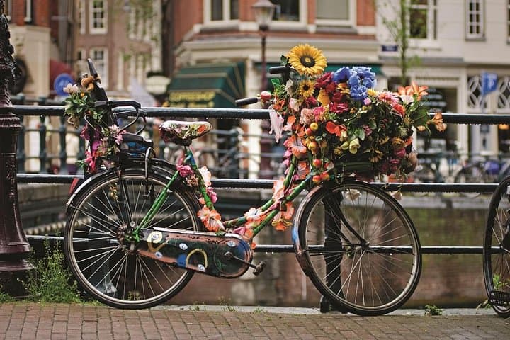 Private 3-Hour Amsterdam City Bike Tour — Canals, Museums & Local Life photo 2
