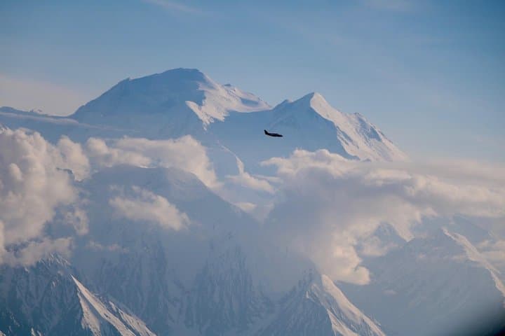 Denali Peak Flightseeing: 60–70 Minute Scenic Flight Over Denali National Park photo 2