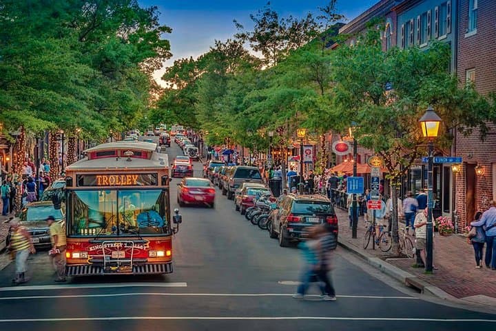 Mount Vernon & Old Town Alexandria Private Tour — Historic DC Day Trip photo 4
