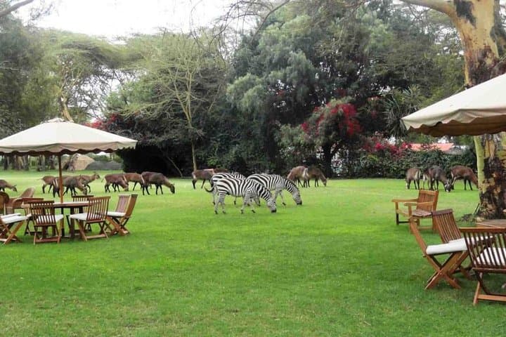 Hells Gate Naivasha Cycling and Boat Safari — Day Trip from Nairobi photo 3