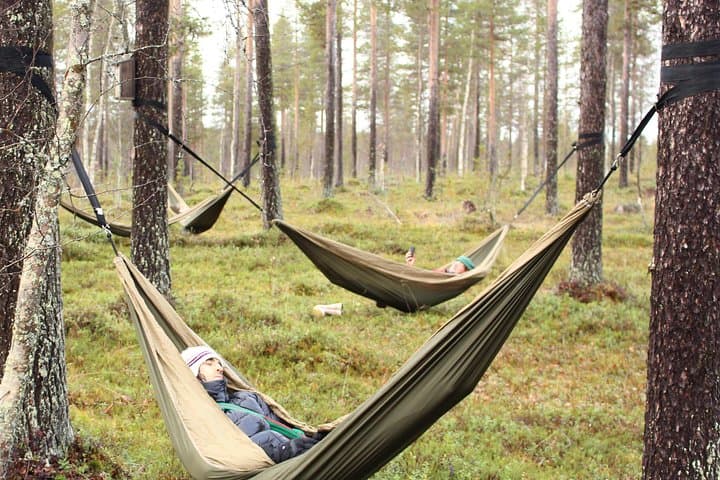 HaliPuu Forest Cocooning: Arctic Hammock Relaxation Near Levi, Finland photo 3