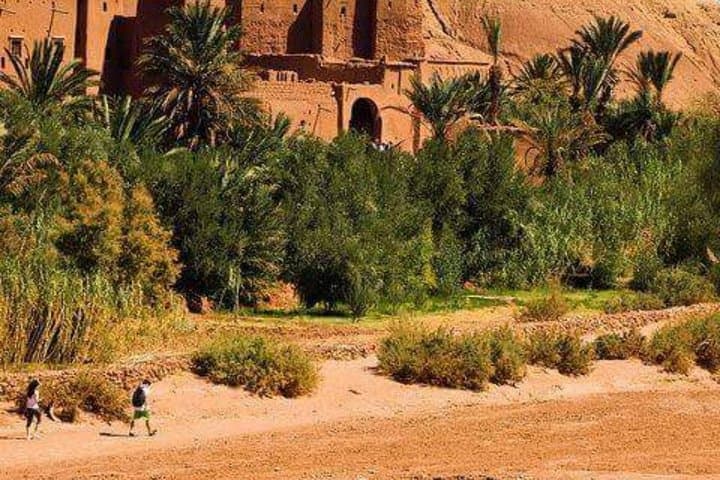 Five-Day Desert Tour from Casablanca to Erg Chegaga photo 3