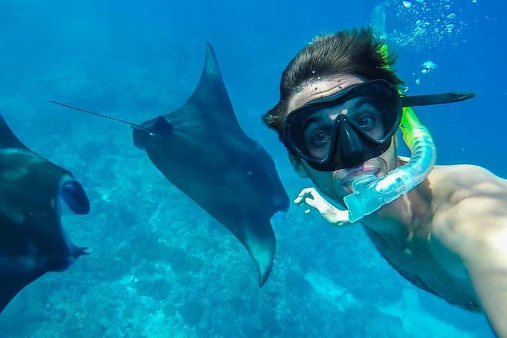 Snorkelling Nusa Penida Manta Point: Swim with Manta Rays & Coral Gardens