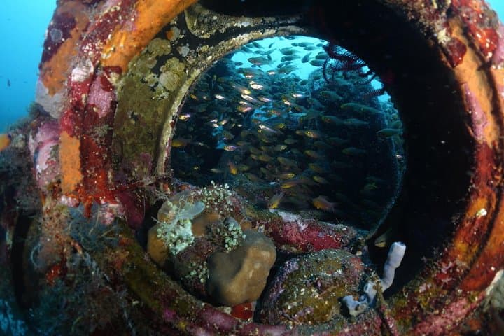 Exploring the USAT Liberty: Shipwreck Diving in Tulamben photo 2