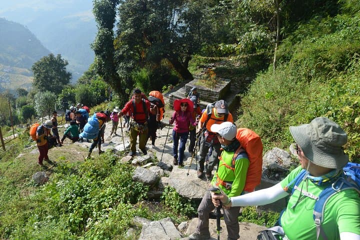 Poon Hill Trek: 9-Day Annapurna Sunrise Trek from Pokhara photo 5