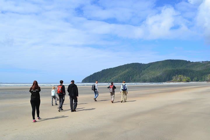 San Josef Bay Sea Stacks & Cape Scott Coastal Hike — Day Tour from Port Hardy