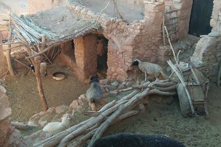 Atlas Day Trip from Marrakech: Berber Villages, Ourika Valley & Oukaimeden photo 3