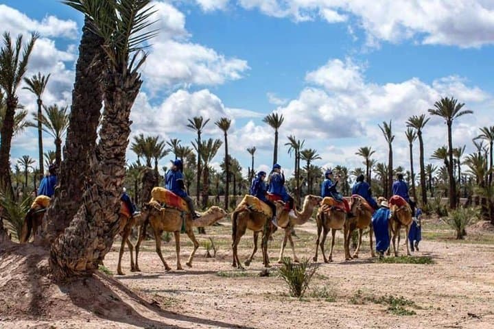 Camel Ride in Marrakech Palm Grove — Palmeraie Camel Tour & Berber Tea Visit