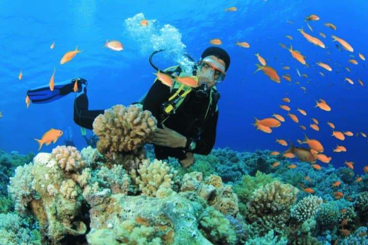 Full-Day Scuba Diving Tour on Turkey's Turquoise Coast (Antalya)