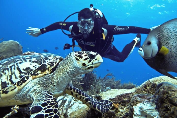 Full-Day Scuba Diving Tour on Turkey's Turquoise Coast (Antalya) photo 2