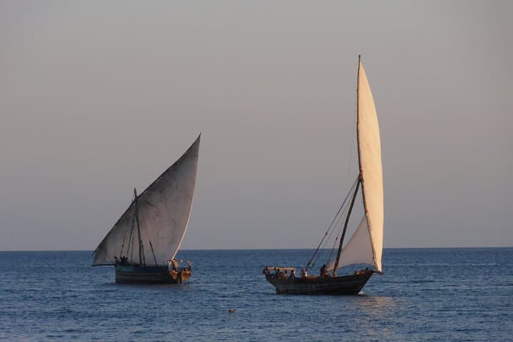 14-Day Kenya & Tanzania Safari with Zanzibar Beach Escape
