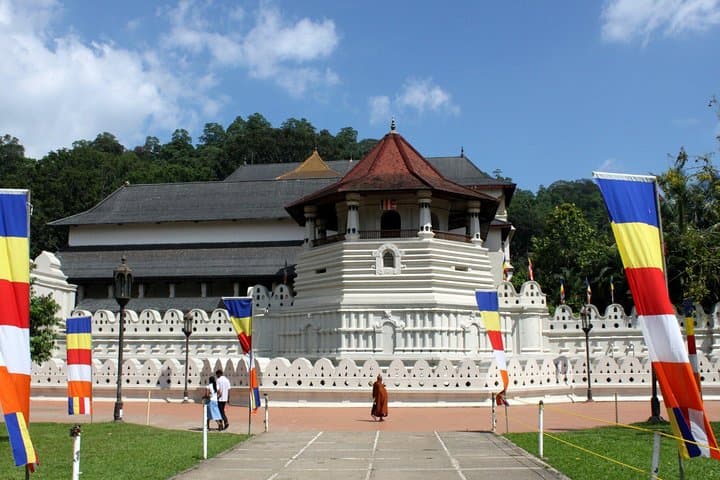 Kandy Day Trip from Colombo: Temple of the Tooth & Peradeniya Gardens with Return Transfer photo 4