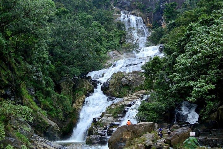 2-Day Sinharaja Rainforest & Udawalawe Safari from Colombo