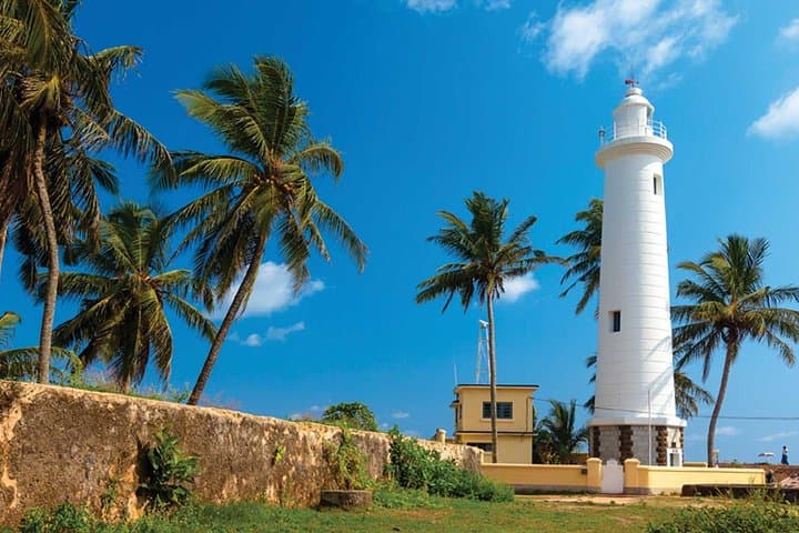 Galle Fort & Madu River Mangrove Safari — Private Day Trip from Galle