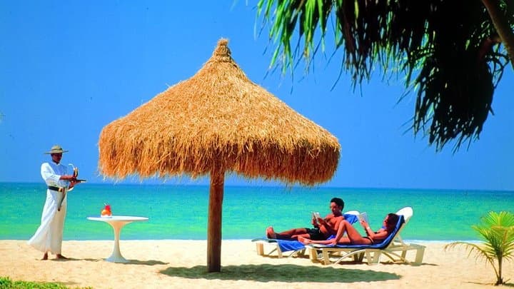 Bentota & Mirissa Whale Watching: 2-Day Coastal Safari from Colombo photo 6