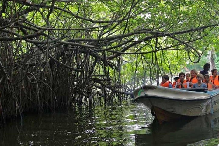 Private Driver-Guide Car Hire in Sri Lanka: Flexible Multi-Day Tours from Colombo photo 3