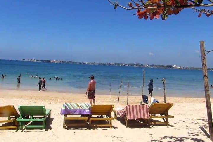 Galle Fort and Jungle Beach Day Trip from Colombo — Forts, Turtles & Swimming photo 2