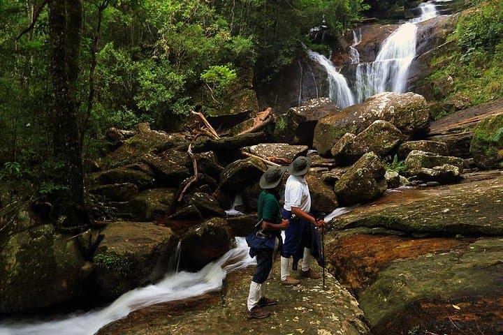Sinharaja Rain Forest Day Trip from Colombo — Private Guided Hike & Wildlife Viewing photo 2
