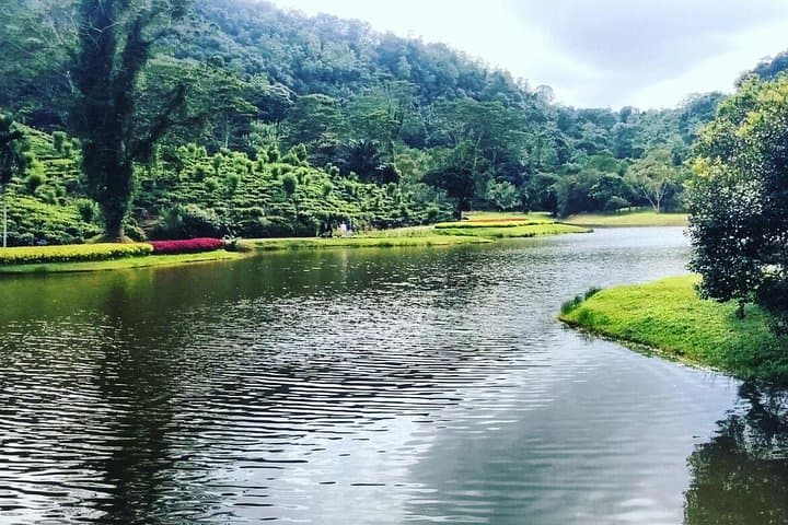 Seethawaka Botanical Garden Day Tour from Colombo — Guided Visit with Lunch photo 2