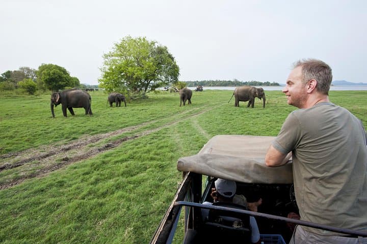 Udawalawe Safari from Mount Lavinia — Elephant-First Game Drive Guide photo 2