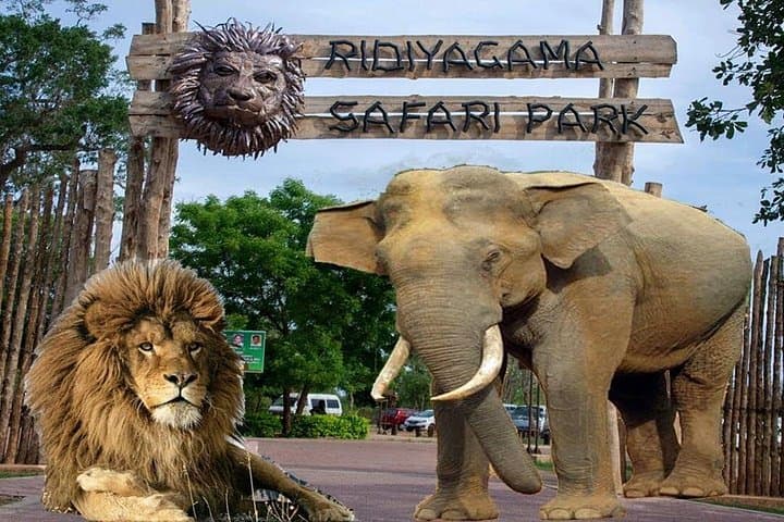Ridiyagama Safari Park Day Trip from Colombo: Jeep Safari, Elephants & Lions photo 2