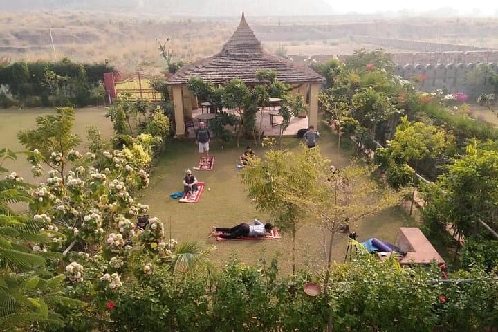 Morning and Evening Yoga in Jaipur: Traditional Hatha, Prenatal Classes & Wellness Sessions photo 1