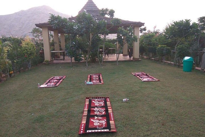 Morning and Evening Yoga in Jaipur: Traditional Hatha, Prenatal Classes & Wellness Sessions photo 2
