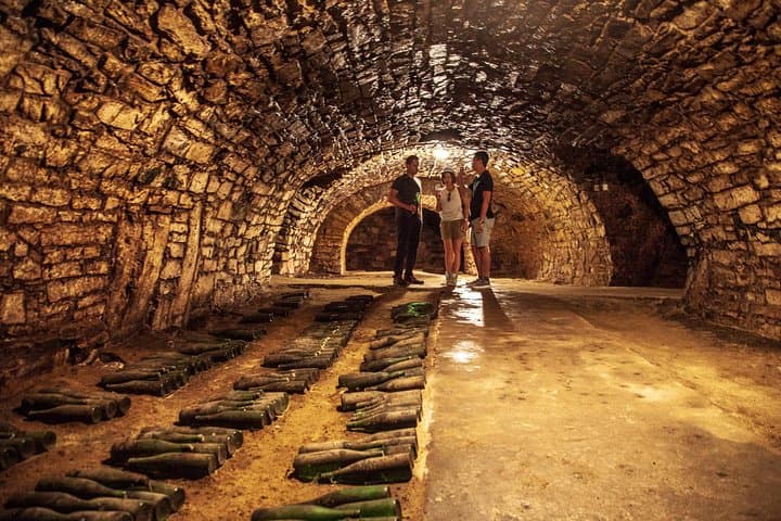Bohemia Wine Tour from Prague: Private Day to Chateaux, Cellars & Vineyards photo 3