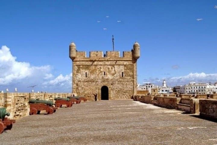 Marrakech to Essaouira Day Trip: Coastal Forts, Argan Groves & Atlantic Views photo 2
