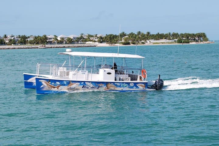 Key West Shark and Wildlife Catamaran Tour — Safe, Up‑Close Shark Viewing photo 4