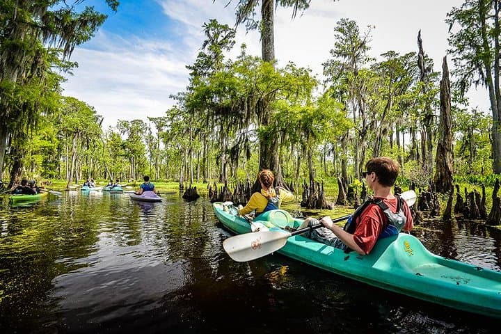 Explore the Manchac Swamp: Small-Group Kayak Adventure with Local Insight photo 3