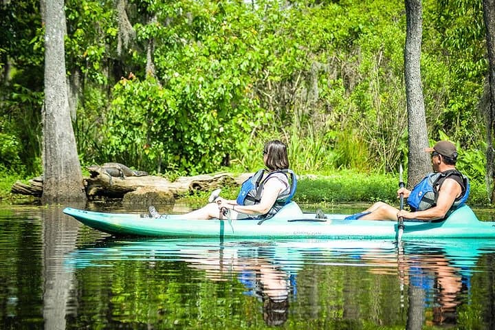 Explore the Manchac Swamp: Small-Group Kayak Adventure with Local Insight photo 2