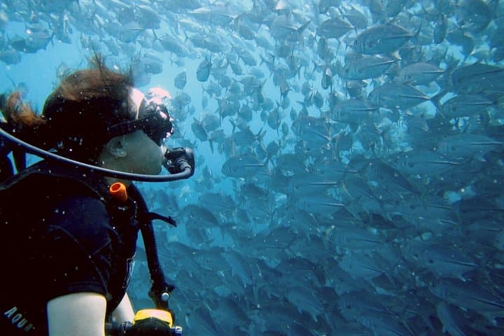 Sail Rock: Koh Samui 2‑Dive Trip to a World‑Class Pinnacle photo 2