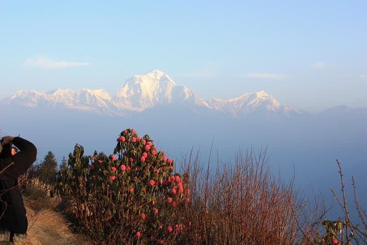 Poon Hill Sunrise Trek: 4-Day Annapurna Escape from Pokhara photo 2