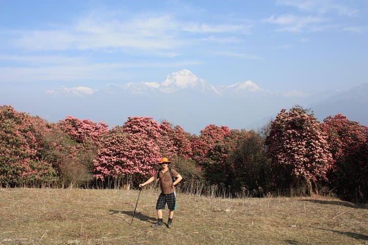 Poon Hill Sunrise Trek: 4-Day Annapurna Escape from Pokhara photo 3