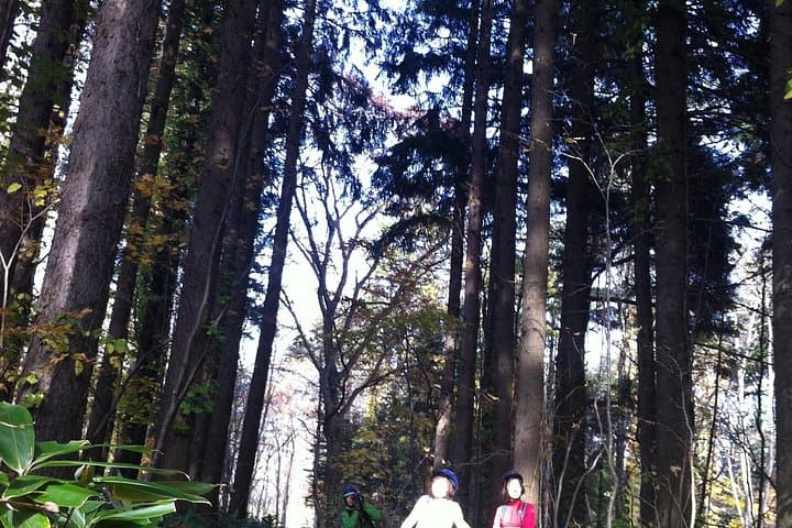 Nopporo Forest Mountain Bike Tour from Sapporo: Easy 10 km Ride Through Hokkaido Wilds photo 4