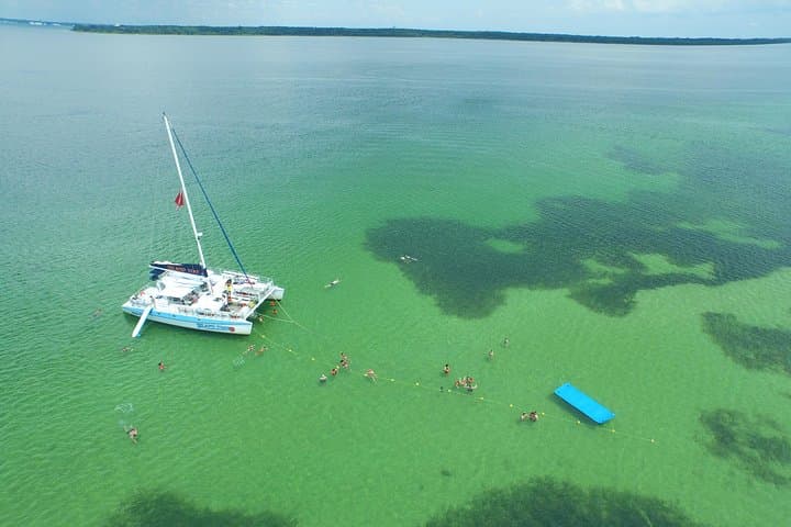 Shell Island Snorkel & Dolphin Catamaran Cruise — Panama City Beach Day Trip photo 3