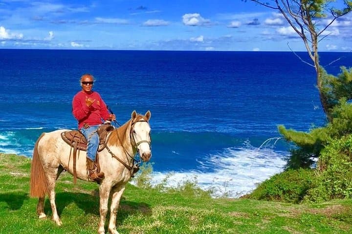 West Maui Horseback Waterfall & Ocean Ride — Mountain to Coast on Horseback