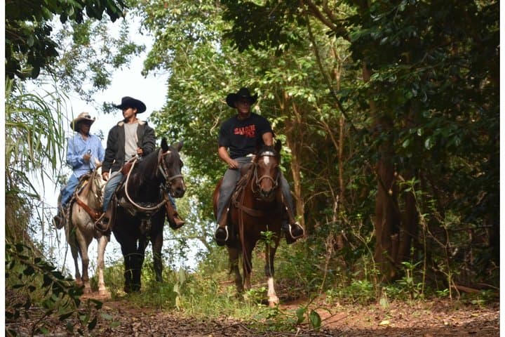 West Maui Horseback Waterfall & Ocean Ride — Mountain to Coast on Horseback photo 4