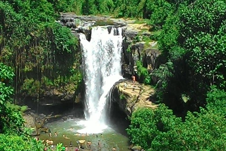 Full-Day Bali: Temple, Rice Terraces & Waterfall — All-Inclusive Tour